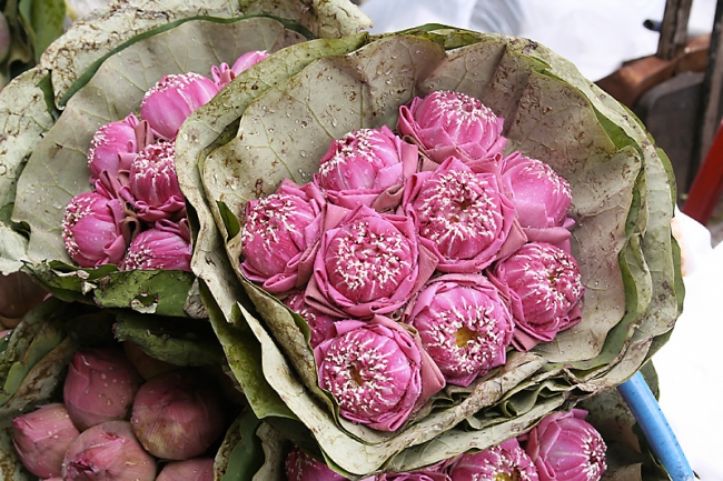 01-Bangkok -Flower Market-Phuket-0017